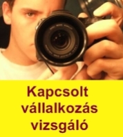 Kapcsolt vállalkozás vizsgáló Kapcsolt vállalkozás vizsgáló